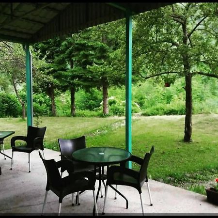 Motel Tara Mojkovac Dış mekan fotoğraf